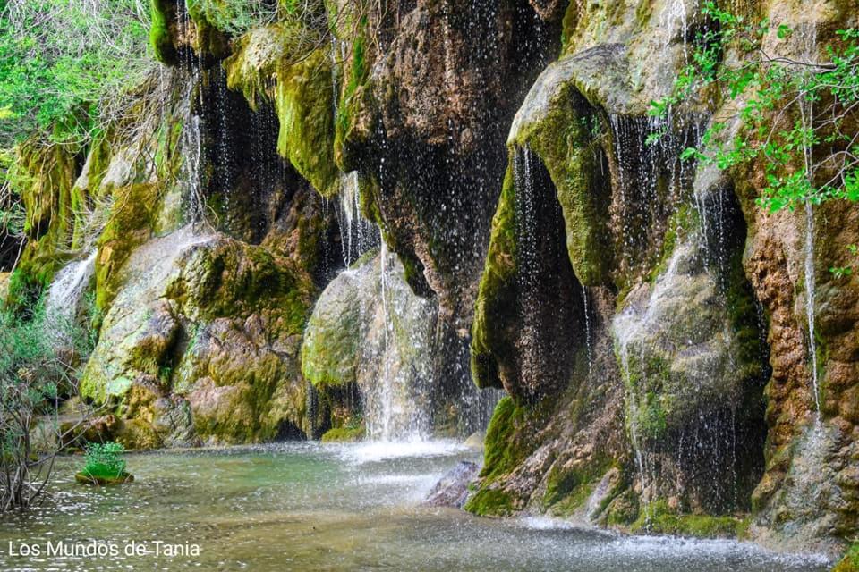 Alojamiento Rural El Morenal Траґасете Екстер'єр фото