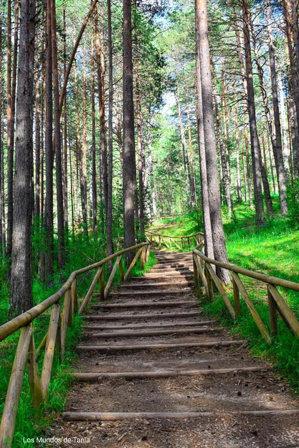 Alojamiento Rural El Morenal Траґасете Екстер'єр фото