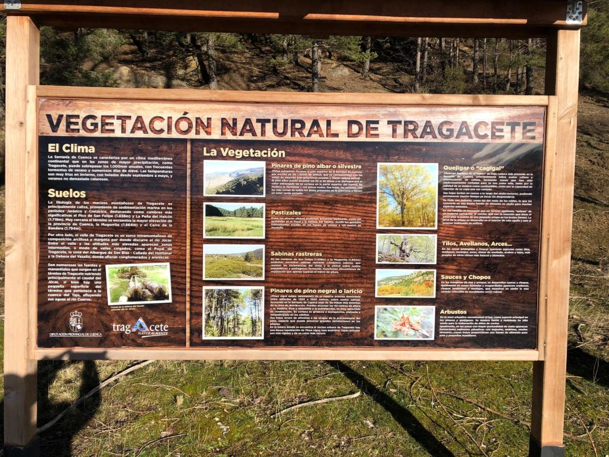 Alojamiento Rural El Morenal Траґасете Екстер'єр фото